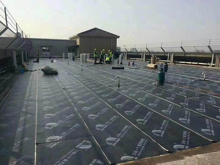 新港镇楼顶防水